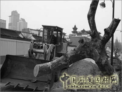 新山水 體驗式景觀 山水城市 山水文化 古典園林