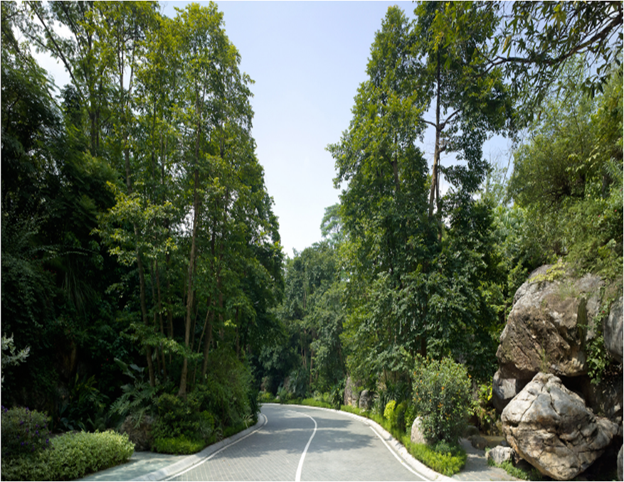 新山水 體驗式景觀 山水城市 山水文化 古典園林