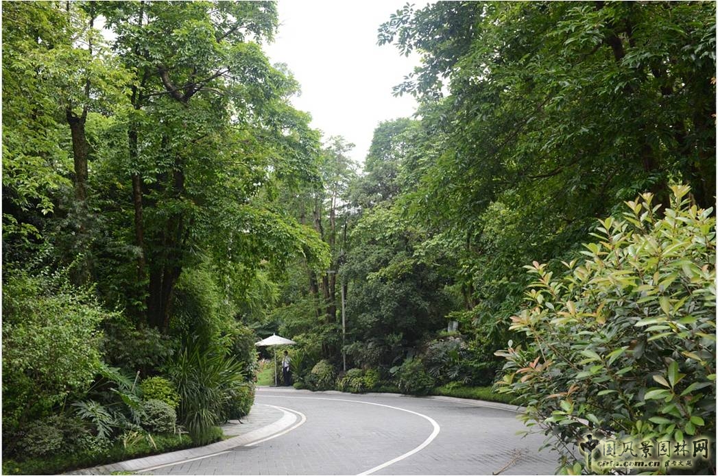新山水 體驗式景觀 山水城市 山水文化 古典園林