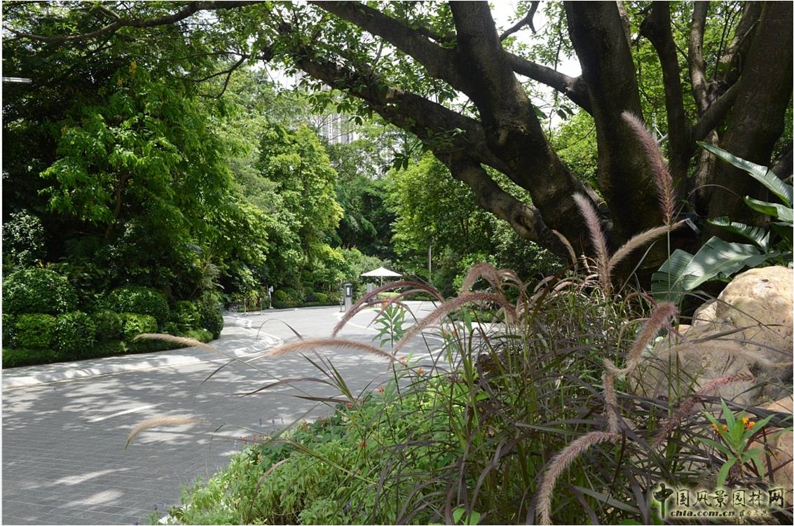 新山水 體驗式景觀 山水城市 山水文化 古典園林
