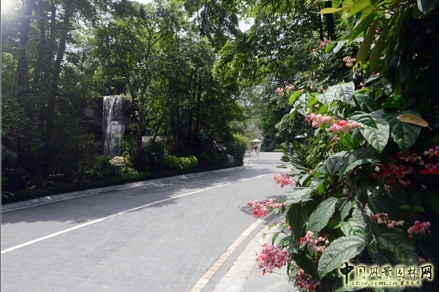 新山水 體驗式景觀 山水城市 山水文化 古典園林