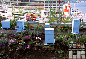 屋頂農場 天空菜園 城市規劃 屋頂綠化 城市綠地