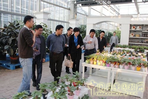 杭州園林 杭州市園林綠化股份有限公司 青山湖