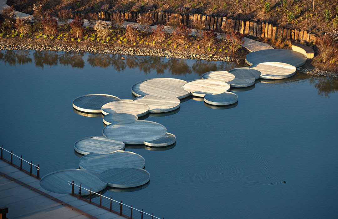植物園 澳大利亞花園 Cranbourne皇家植物園 植物景觀