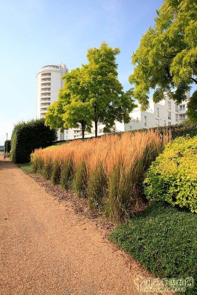 泰晤士河壩公園