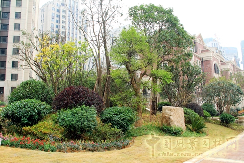 住宅景觀獎  躍馬園林  金茂梅溪湖