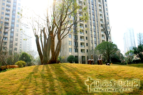 住宅景觀獎 躍馬園林 金茂?梅溪湖