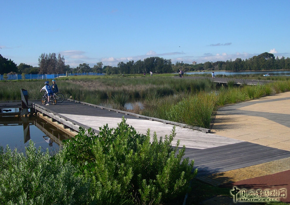 澳大利亞弗雷澤海角