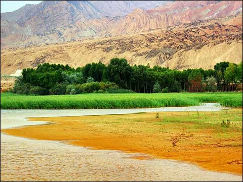 黃河濕地 濕地景觀 濕地保護(hù)