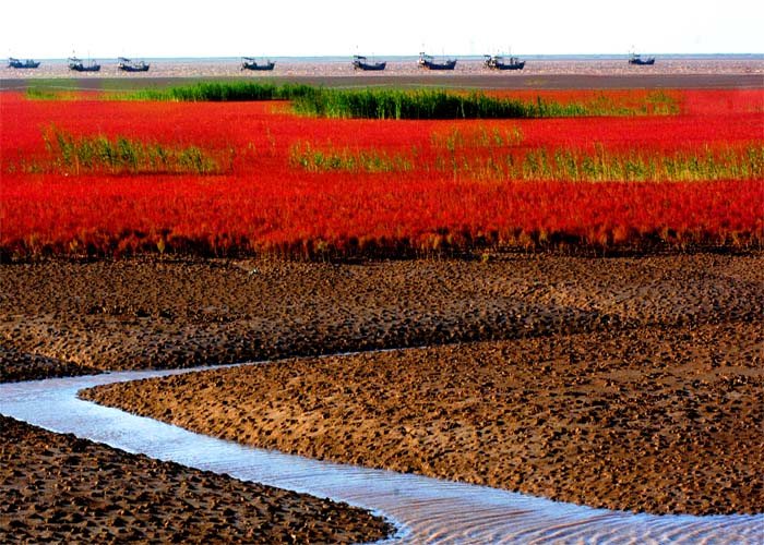 黃河濕地 濕地景觀 濕地保護(hù)