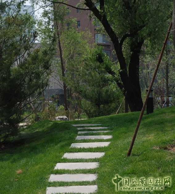 建筑周邊種植速生大喬木遮蔽高樓，減少壓迫感。