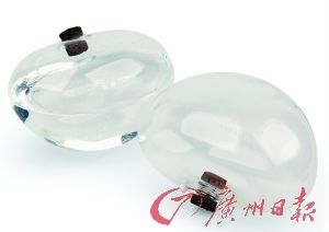 植物自動澆水器