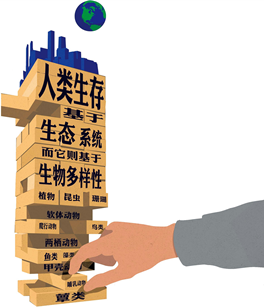 生物安全 生物入侵 物種滅絕 遺傳多樣性