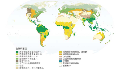 生物安全 生物入侵 物種滅絕 遺傳多樣性