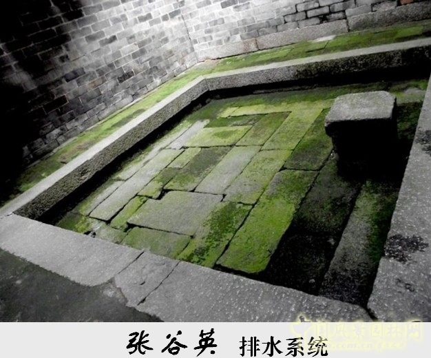 胡希軍 非物質文化遺產 張谷英村 傳統禮俗