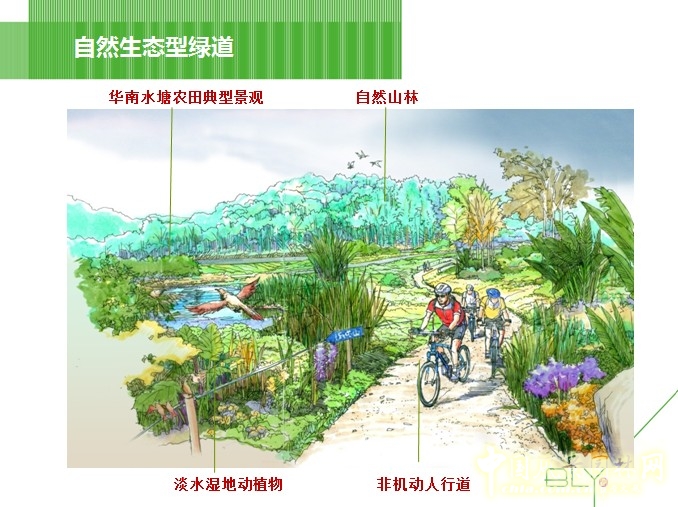 自然生態型綠道