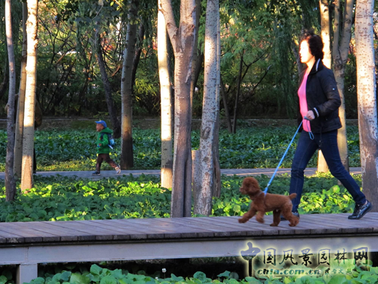 萬科青青林趣園