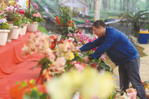 工作人員布置花展。