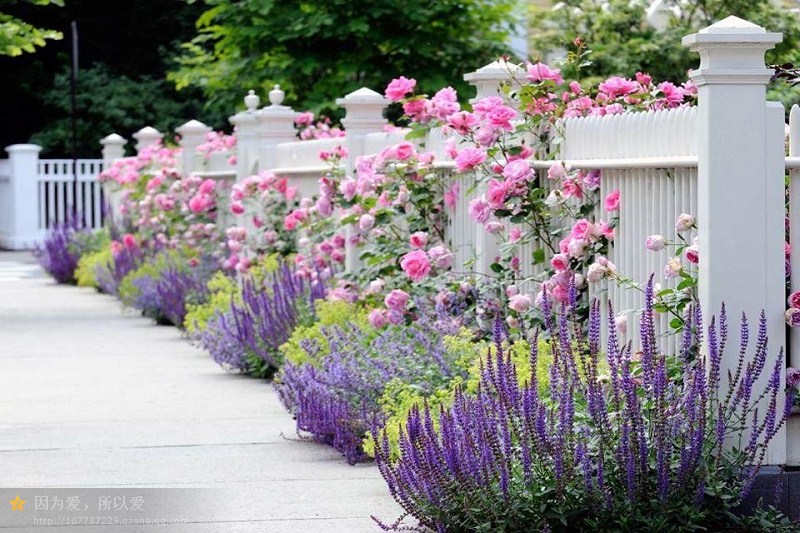 通過重復和節奏達到平衡