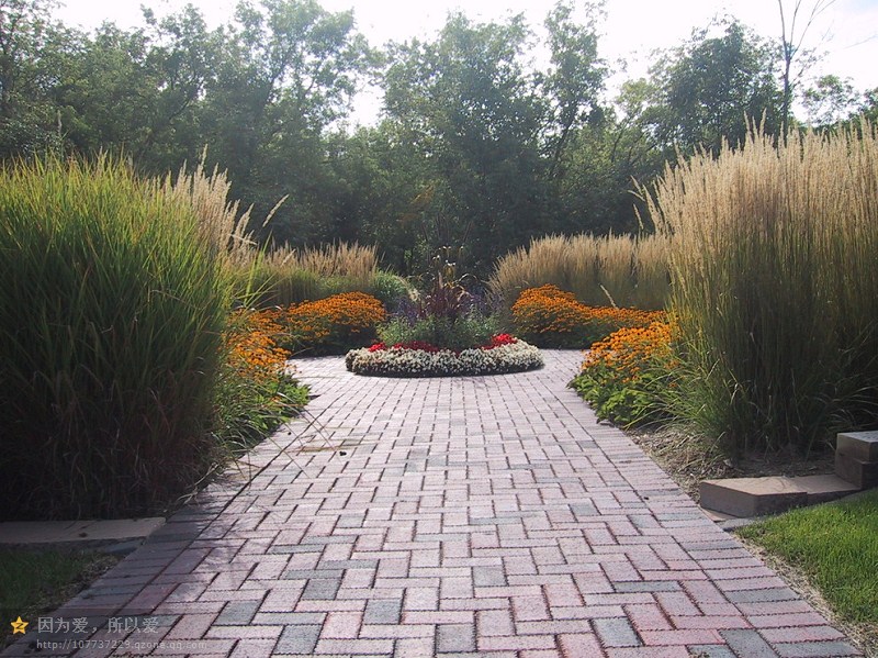實際上對稱平衡不僅僅用喬木,景觀草的使用也能達到軟化硬景的目的。