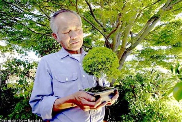 日本盆景大師Johnny Uchida