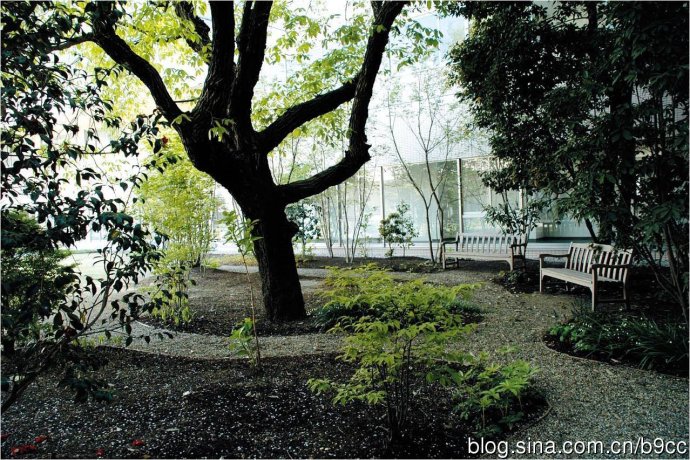 日本中部大學鏡花園