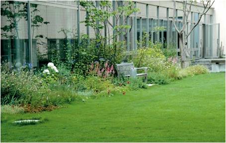 日本中部大學鏡花園
