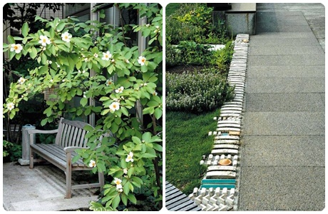 日本中部大學(xué)鏡花園