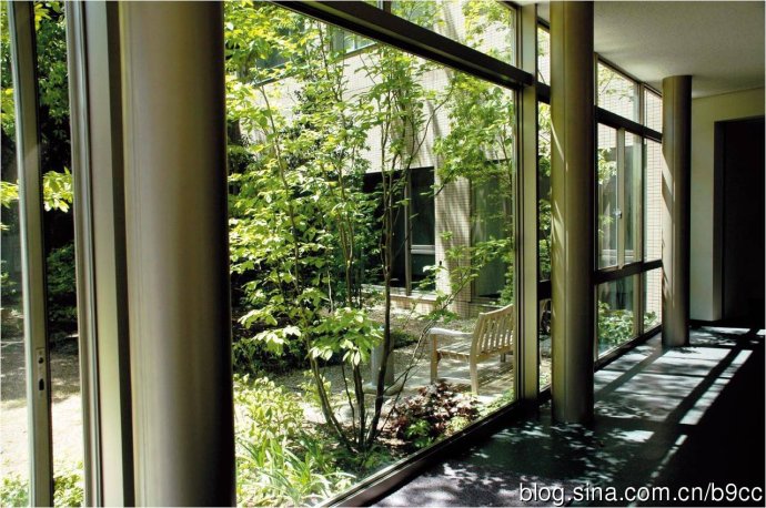 日本中部大學鏡花園