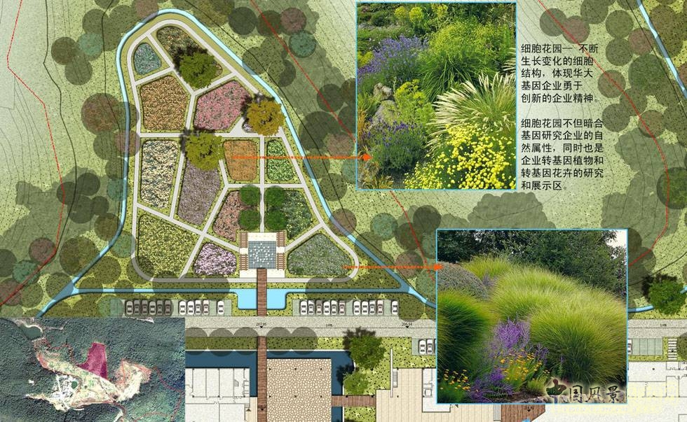 萬科 華大基因 景觀設計 何小強 中國風景園林網
