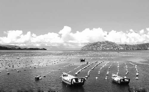 海洋生物源農(nóng)藥目前是新型農(nóng)藥研究的熱點(diǎn)方向。