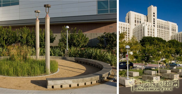 美國南加州大學LAC+USC醫學中心