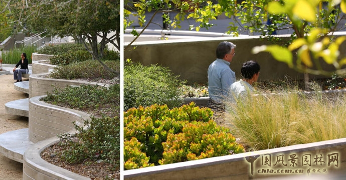 美國南加州大學LAC+USC醫學中心