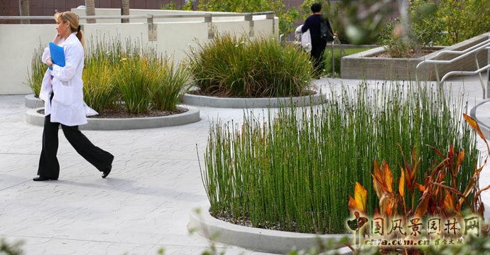 美國南加州大學LAC+USC醫學中心