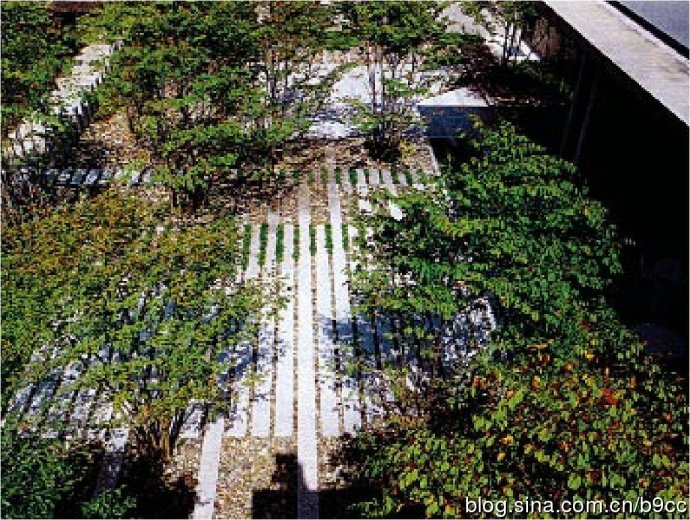 清里攝影美術館景觀設計