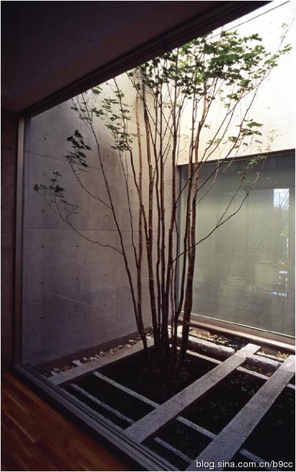 清里攝影美術館景觀設計