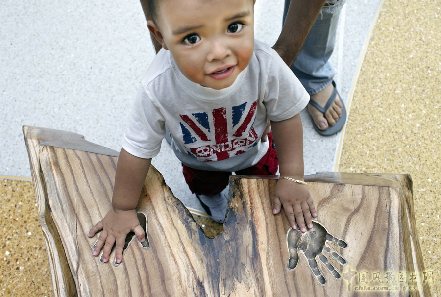 芝加哥皇冠空中花園