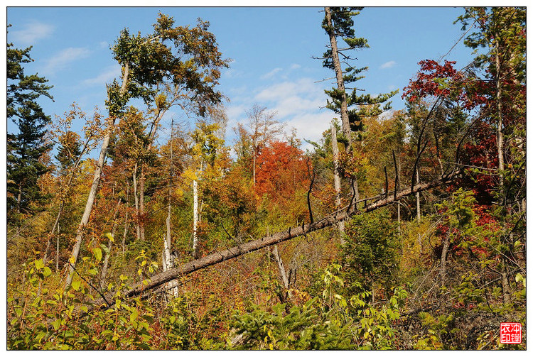 湯望河國(guó)家公園 花崗巖石林 地質(zhì)公園