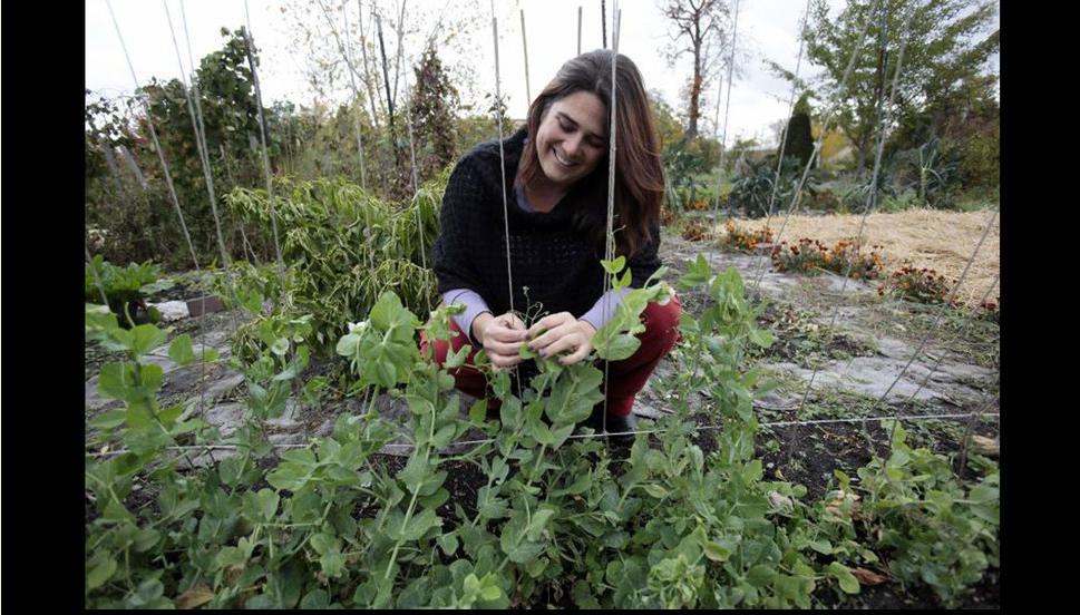 底特律轉型 園林城 景觀園林