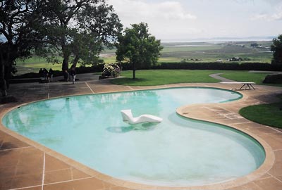 景觀設計 唐納花園 托馬斯·丘奇 加州花園