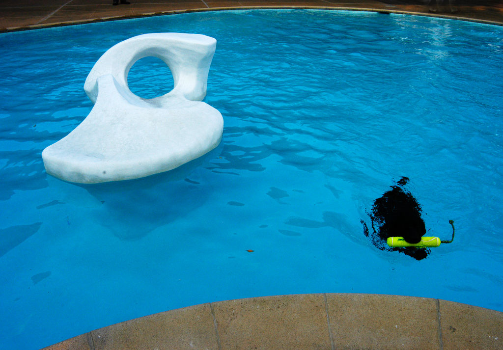 景觀設計 唐納花園 托馬斯·丘奇 加州花園
