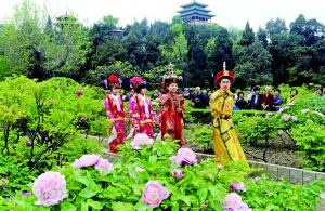 公園票價 五一票價 公園門票 牡丹節