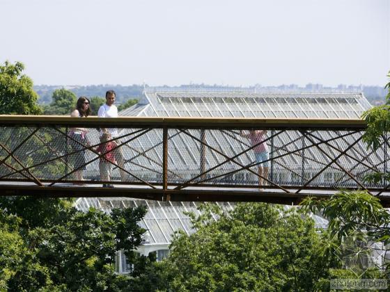 倫敦樹頂走廊景觀