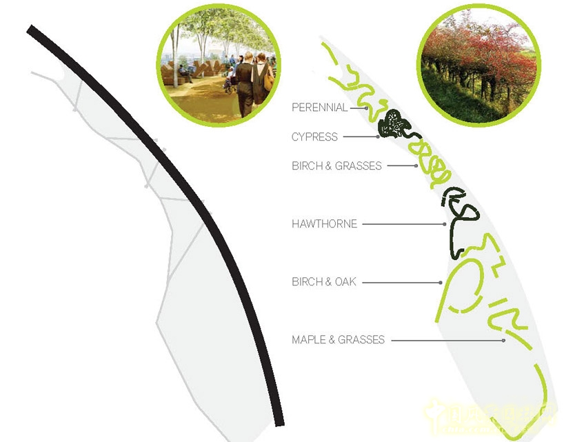 伊麗莎白女王奧林匹克公園