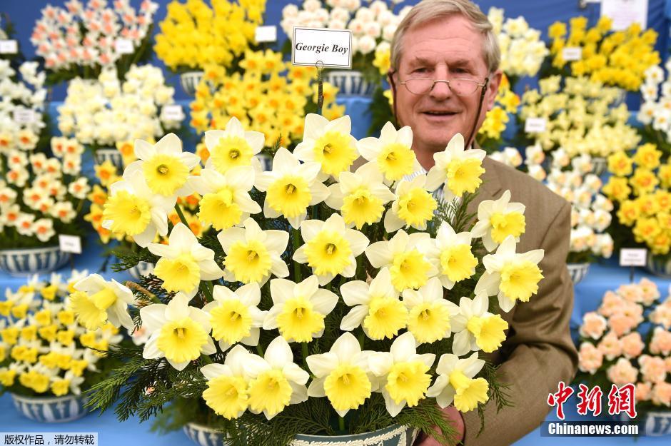 切爾西花展 花展 英國皇家園藝學會