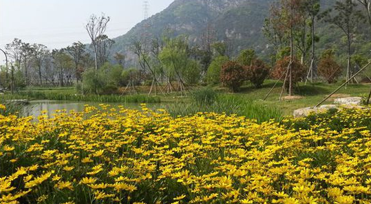 東聯設計攜手著名雕塑家打造中國首個姿態雕塑公園