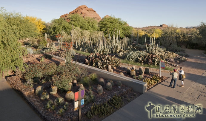 鳳凰城沙漠植物園入口花園
