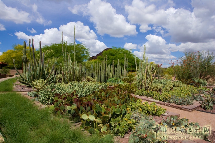 鳳凰城沙漠植物園入口花園