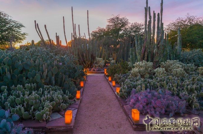 鳳凰城沙漠植物園入口花園