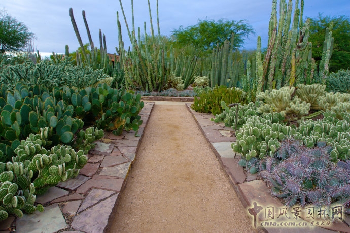鳳凰城沙漠植物園入口花園